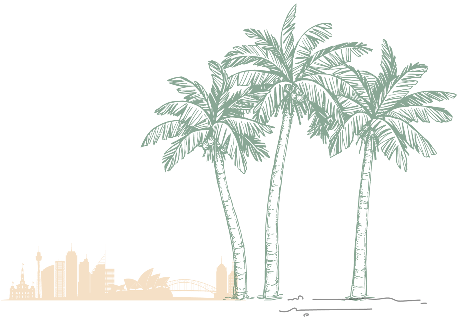 palm tree